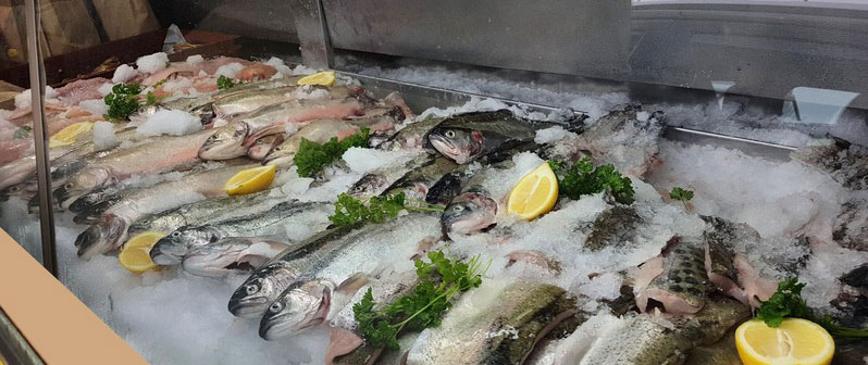 Fischtheke gefüllt mit Fischen