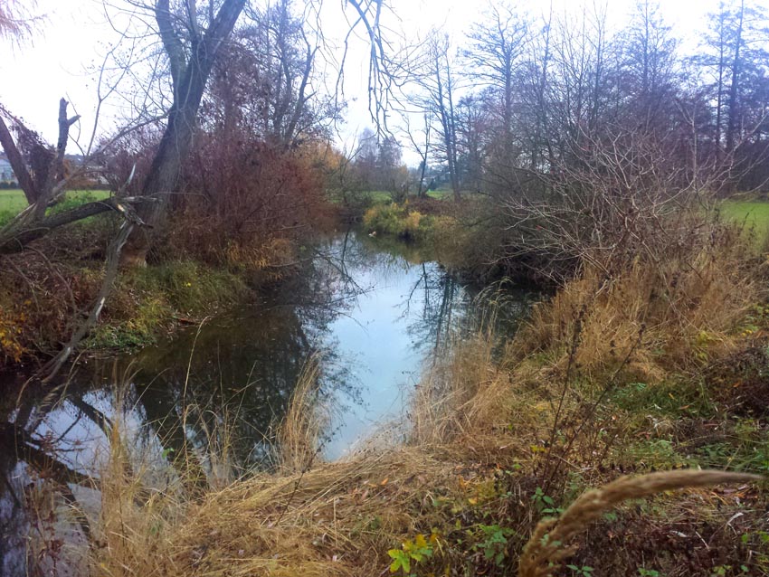 schweinenaab homepage 01